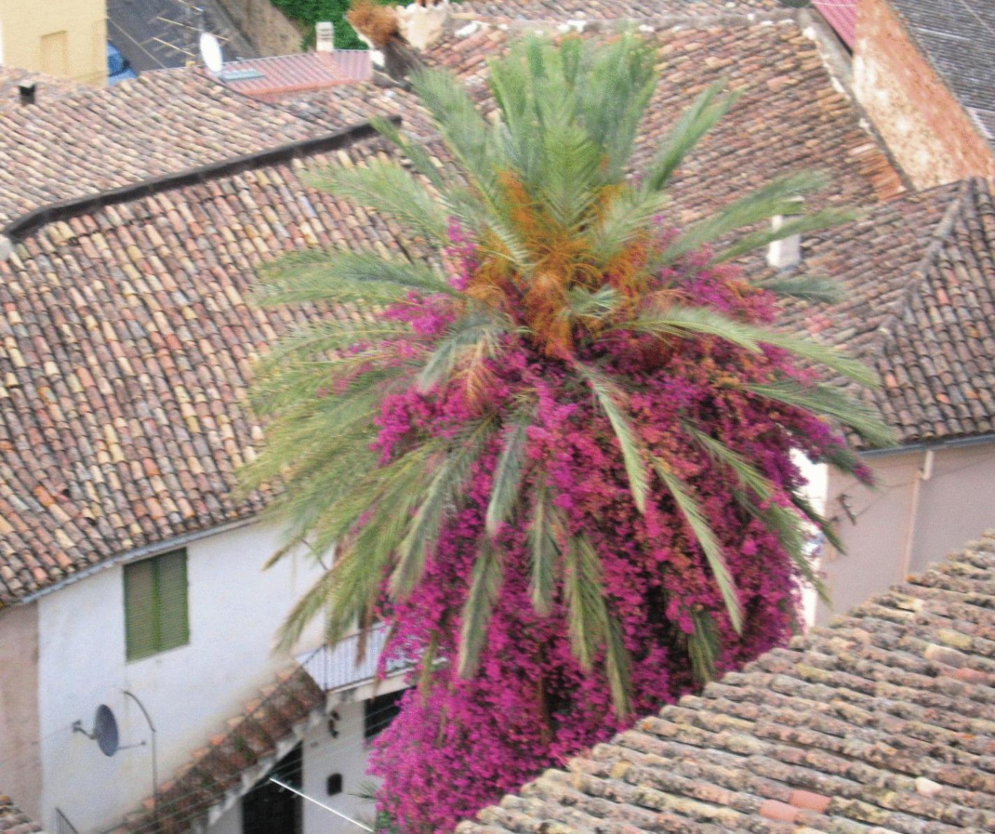 Relais Hotel Palazzo Castriota Corigliano Calabro Exterior photo
